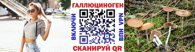 как найти наркотики  Малаховка  Галлюциногенные грибы MAGIC MUSHROOMS 