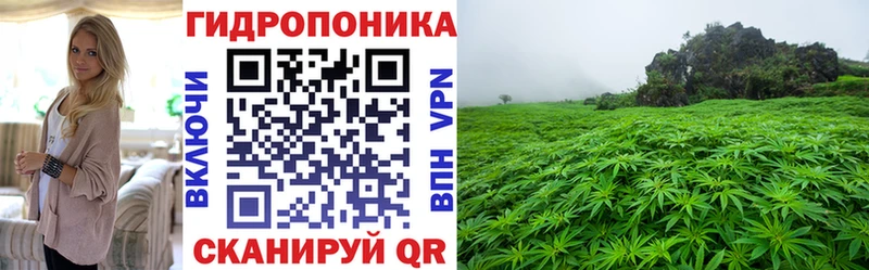 наркошоп  Малаховка  МАРИХУАНА семена 